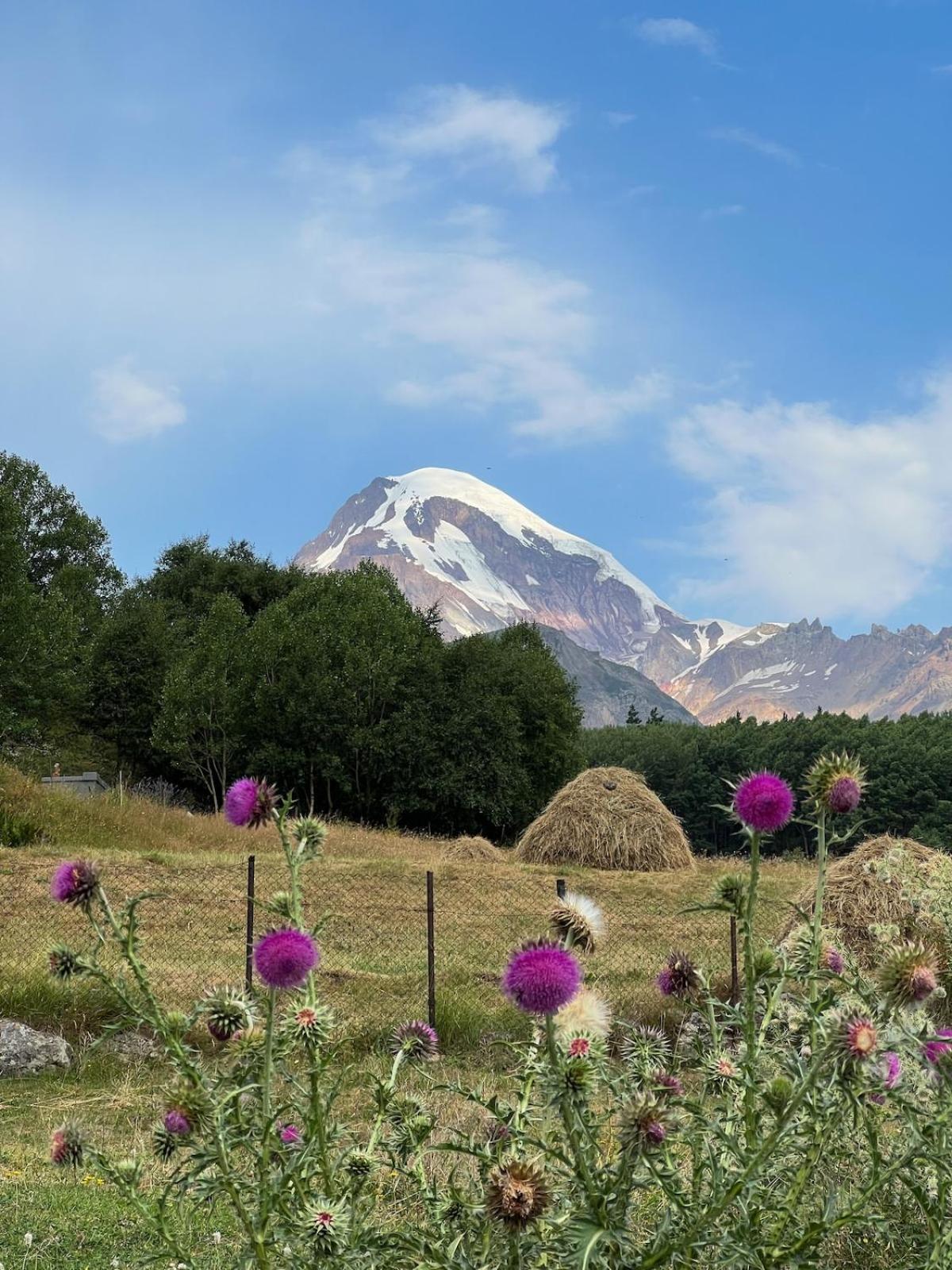 Kazbegi Hut别墅 外观 照片